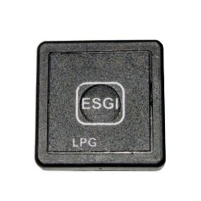 ESGI II switch ESGI II switch