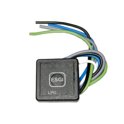 ESGI II switch ESGI II switch