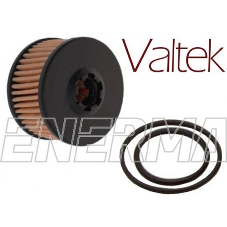 Valtek 31.5 / 20.5  Filter cartidge with o-rings