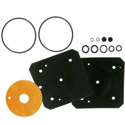 Repair kit for LANDI RENZO IG1 replacement Repair kit for LANDI RENZO IG1 replacement