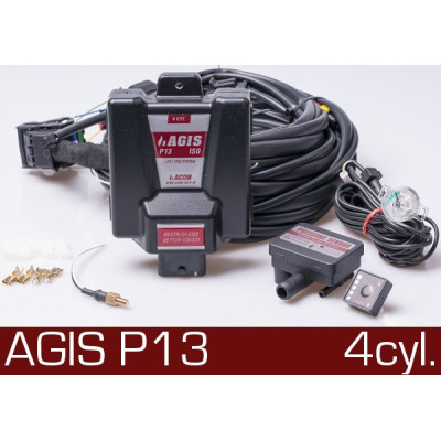 Elektronika Agis P13 4cyl. Elektronika Agis P13 4cyl.