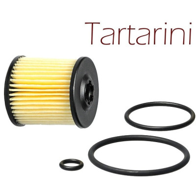 Filter / cartidge Tartarini E08G 34/31 with o-rings Filter / cartidge Tartarini E08G 34/31 with o-rings